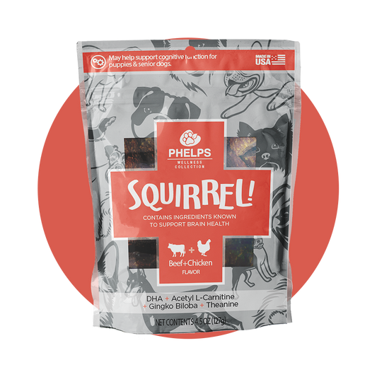 Squirrel! Brain Health Beef Flavor