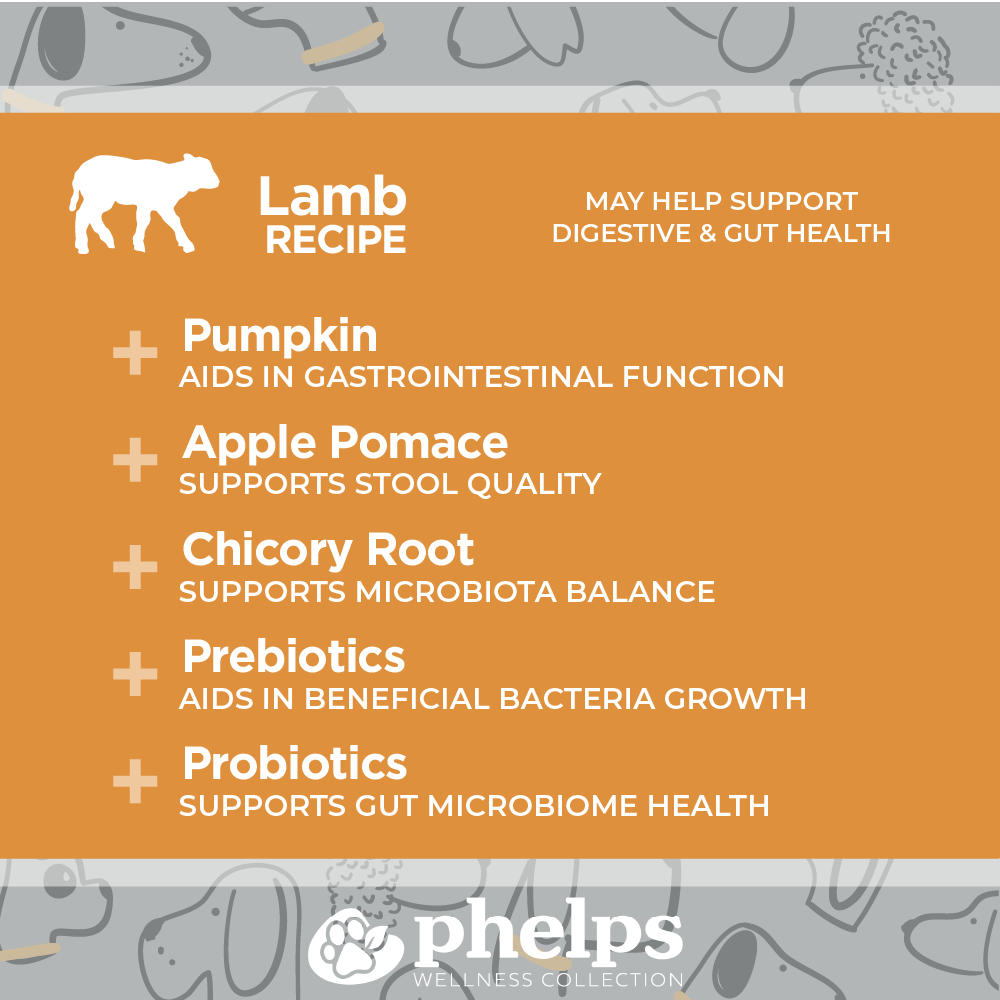Gut Check Digestive Health Lamb Recipe