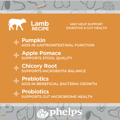 Gut Check Digestive Health Lamb Recipe