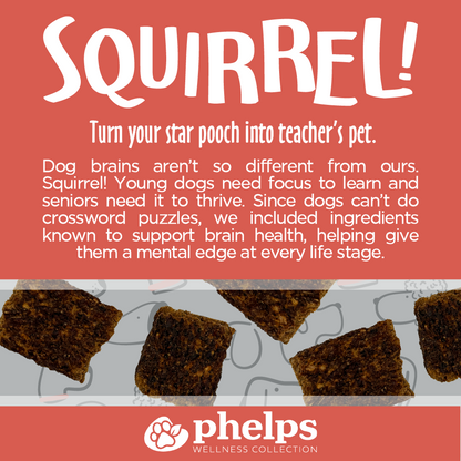 Squirrel! Brain Health Beef Flavor