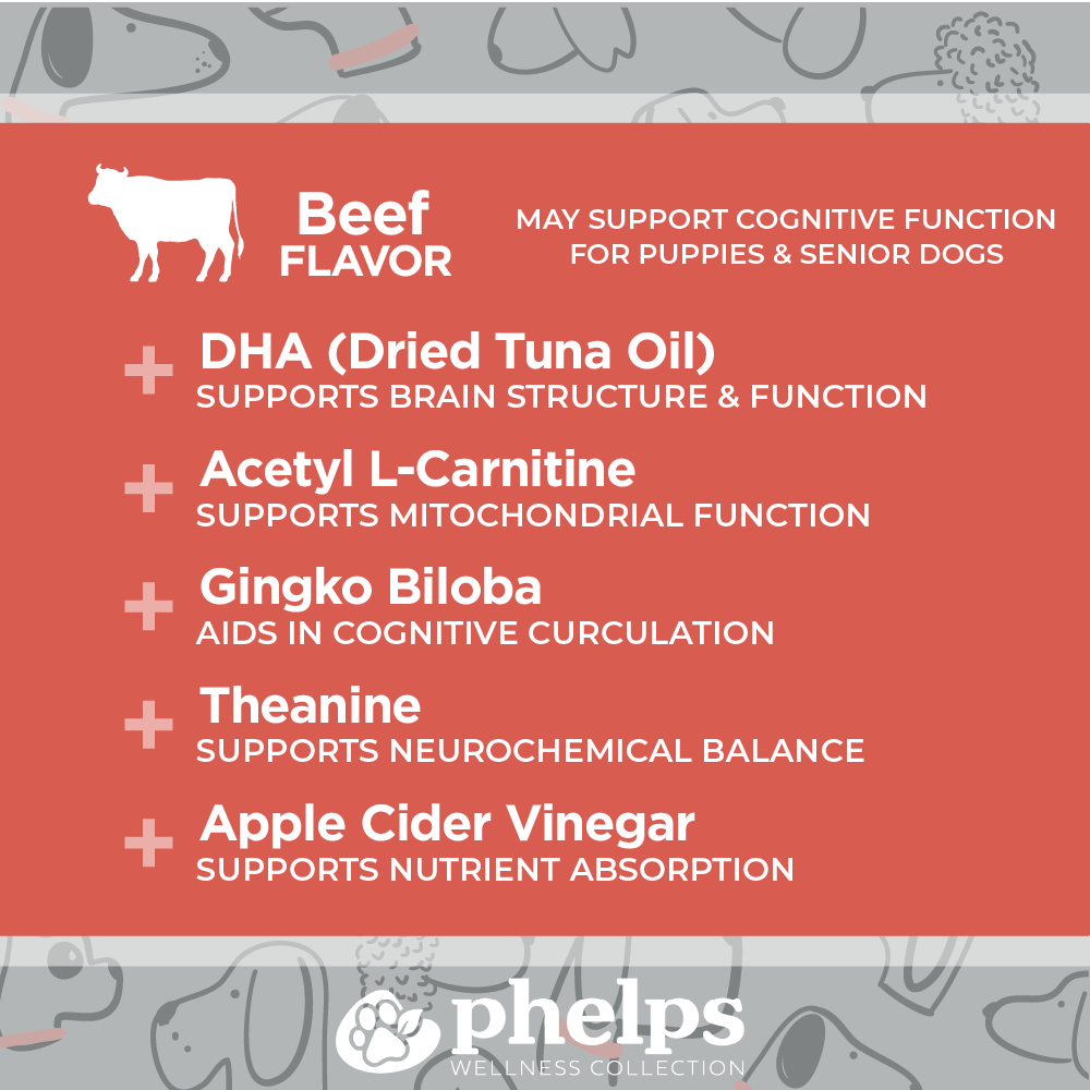 Squirrel! Brain Health Beef Flavor
