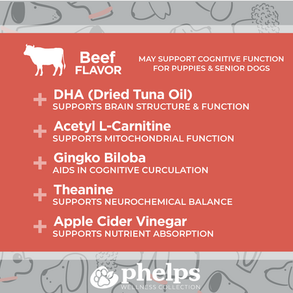 Squirrel! Brain Health Beef Flavor