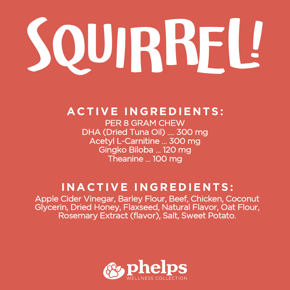 Squirrel! Brain Health Beef Flavor