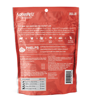 Squirrel! Brain Health Beef Flavor