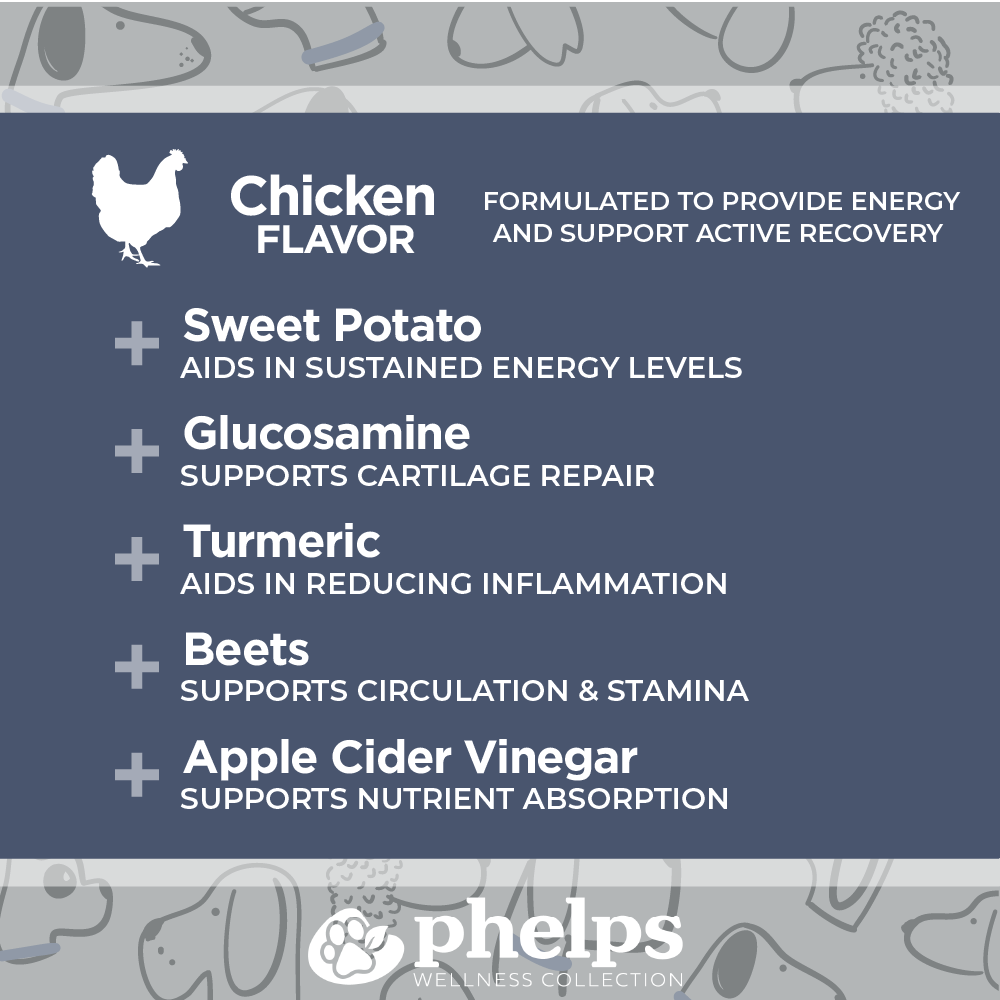 Zoomie Fuel Treat Bars