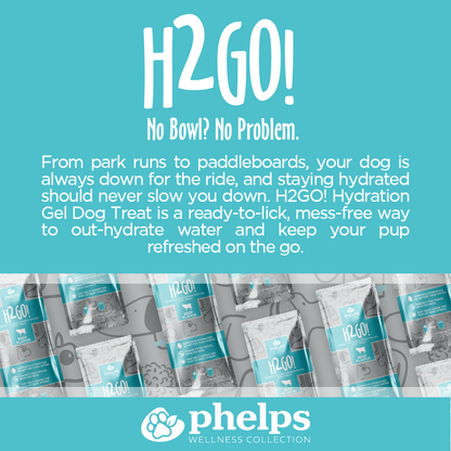 H2GO! Hydration Gel