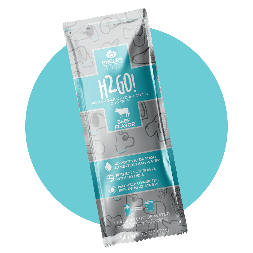 H2GO! Hydration Gel