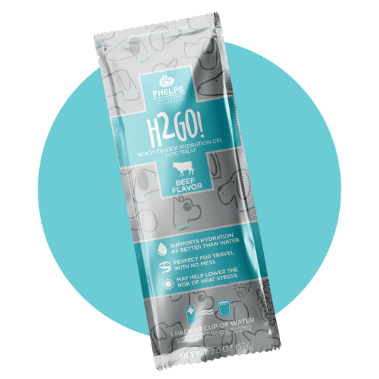 H2GO! Hydration Gel
