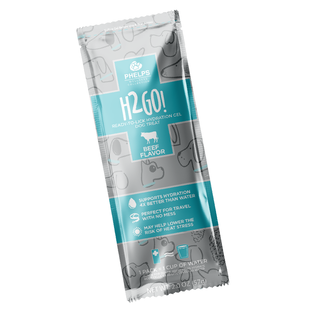 H2GO! Hydration Gel