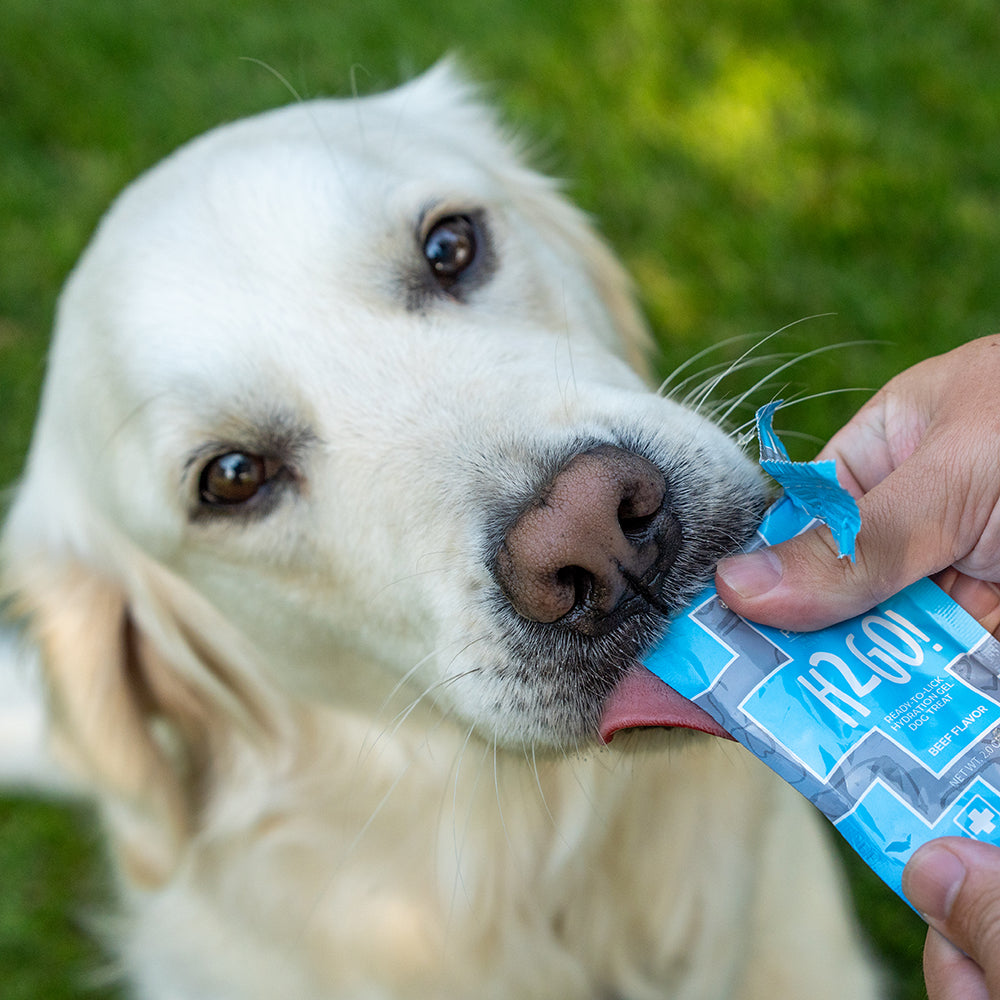 H2GO! Hydration Gel