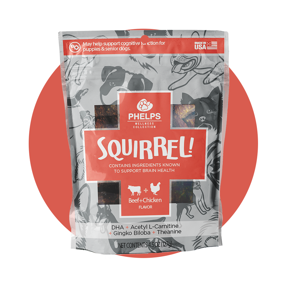 Squirrel! Brain Health Beef Flavor