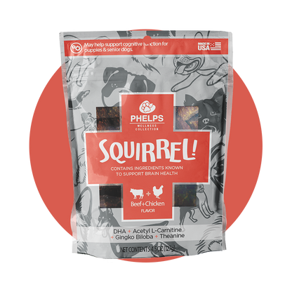 Squirrel! Brain Health Beef Flavor
