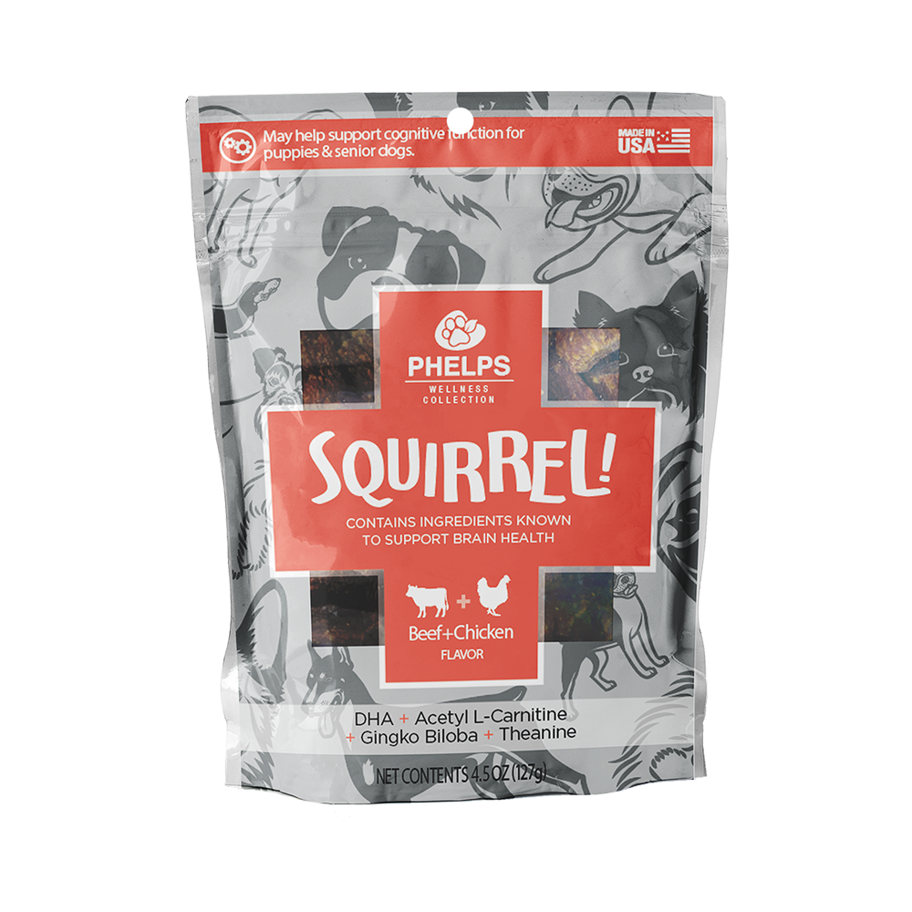 Squirrel! Brain Health Beef Flavor